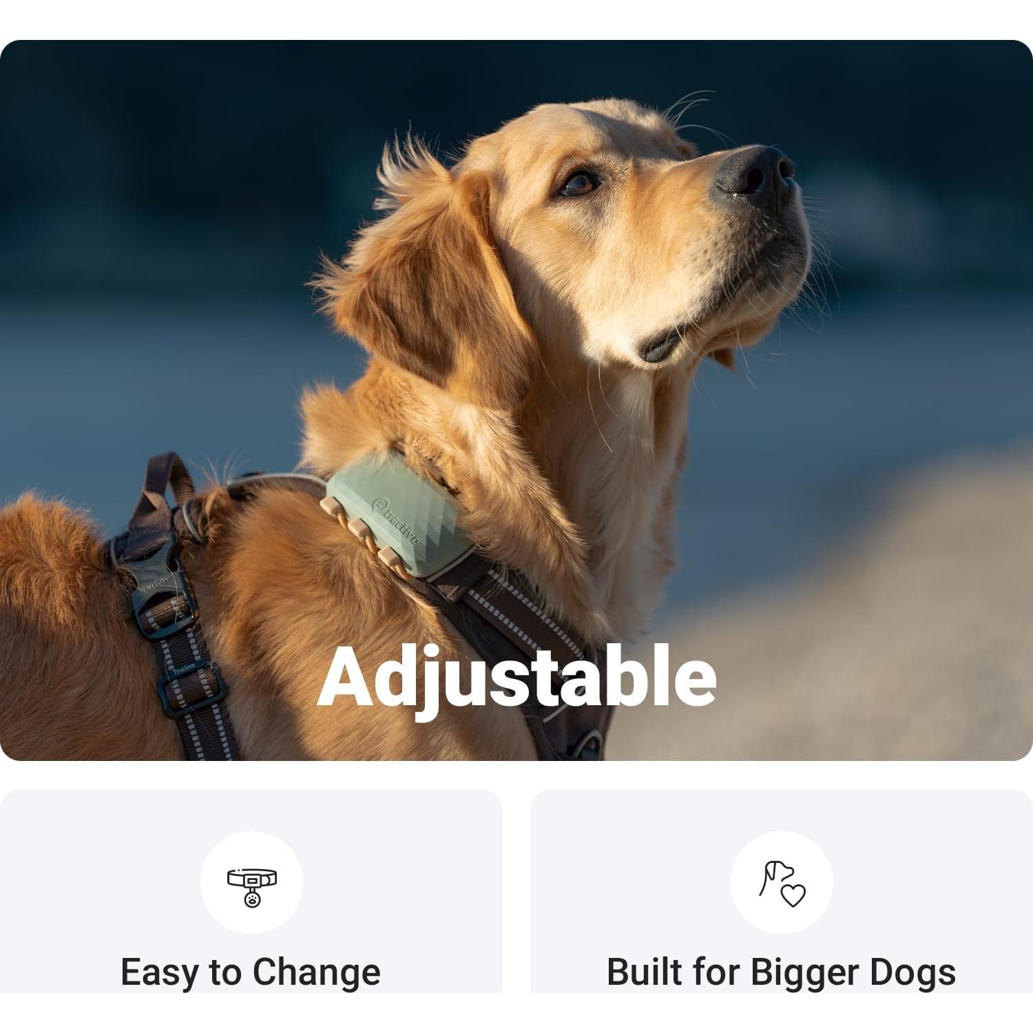 Clips de Sujeción de Goma Tractive para GPS Dog XL - Paquete de 3