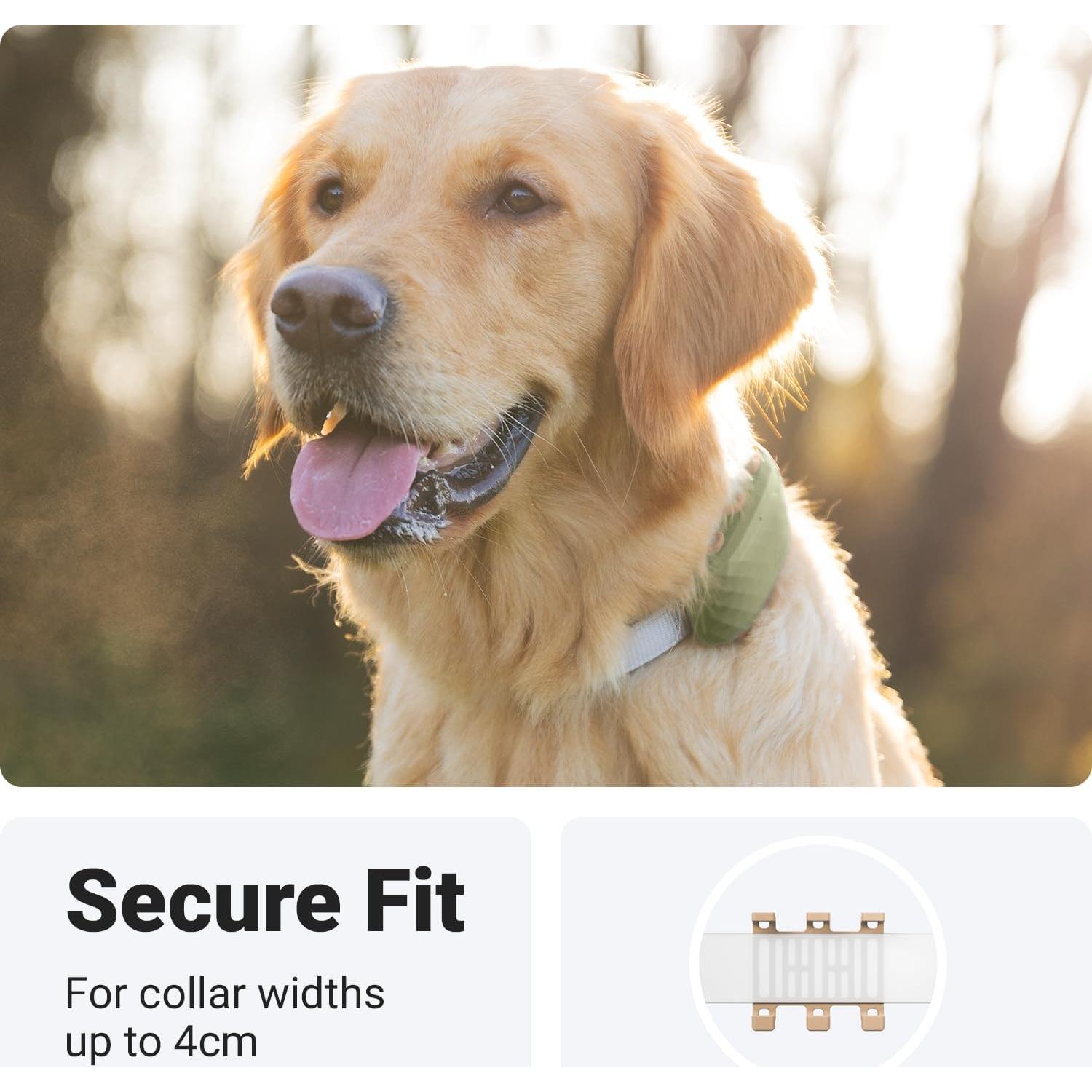 Clips de Sujeción de Goma Tractive para GPS Dog XL - Paquete de 3