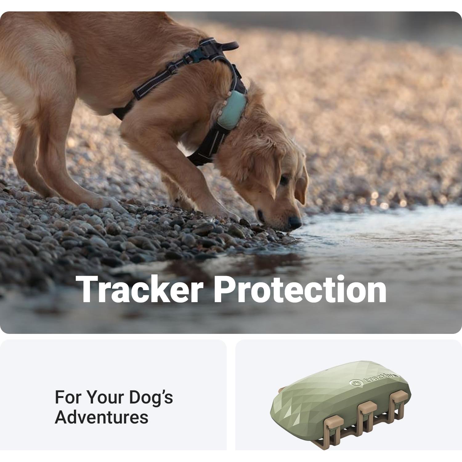 Clips de Sujeción de Goma Tractive para GPS Dog XL - Paquete de 3