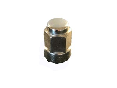 Valve Cover Gasket