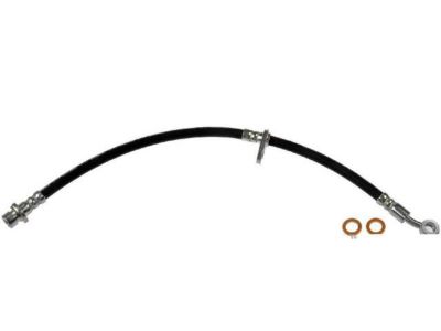 Valve Cover Gasket