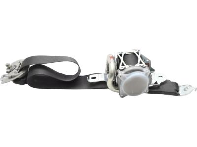 Valve Cover Gasket