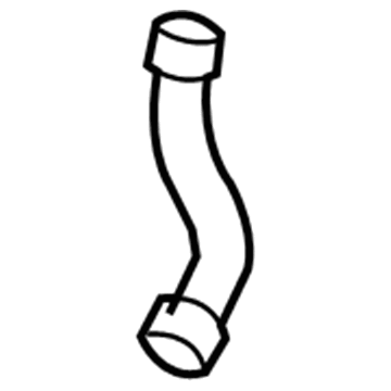 Valve Cover Gasket