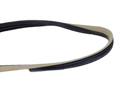 Valve Cover Gasket