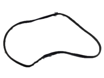 Valve Cover Gasket