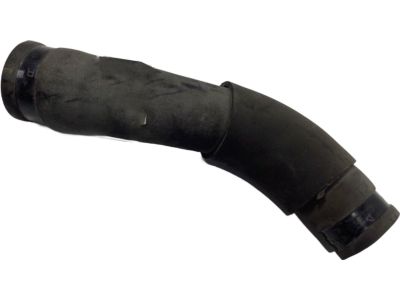 Valve Cover Gasket