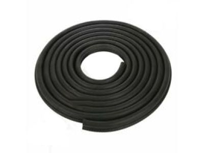 Valve Cover Gasket