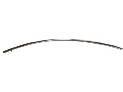 Valve Cover Gasket