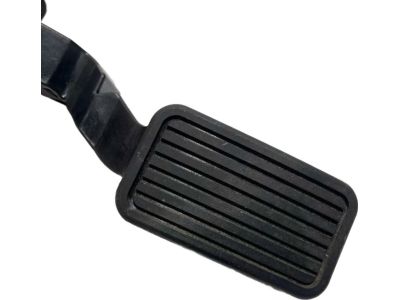 Valve Cover Gasket