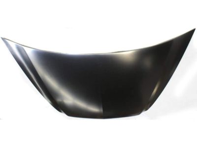 Valve Cover Gasket