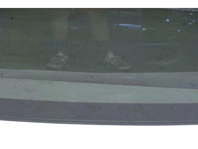 Valve Cover Gasket