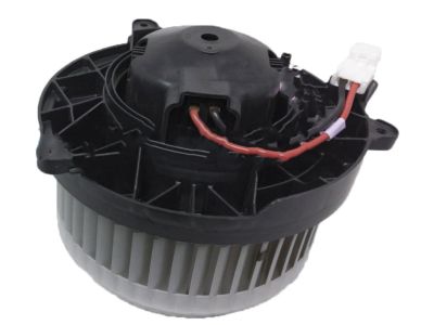 Valve Cover Gasket