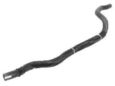 Valve Cover Gasket