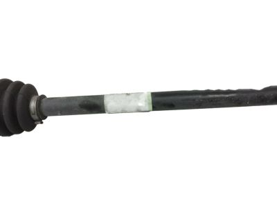 Valve Cover Gasket