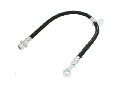 Valve Cover Gasket