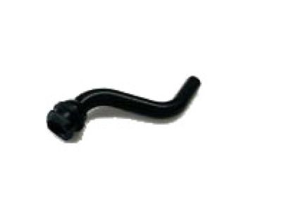 Valve Cover Gasket