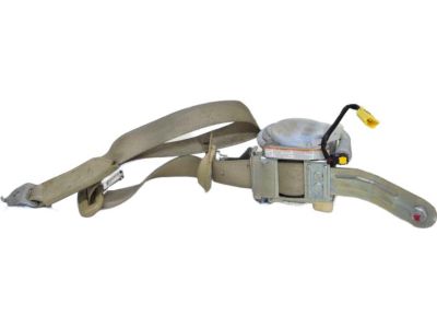 Valve Cover Gasket