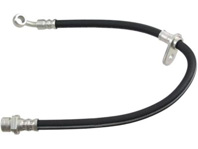 Valve Cover Gasket