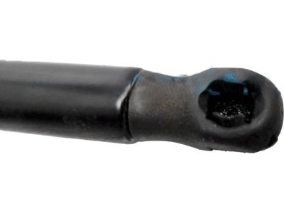 Valve Cover Gasket