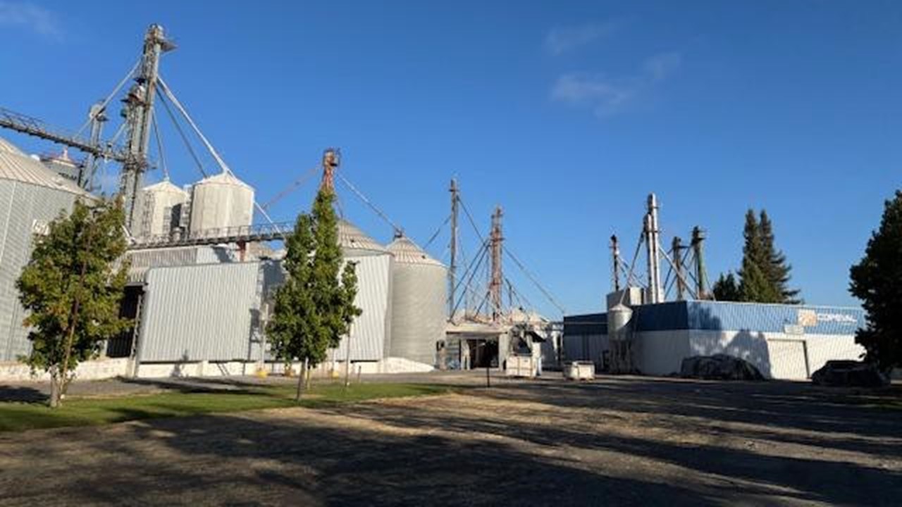 Foto de Terreno J65 Curicó