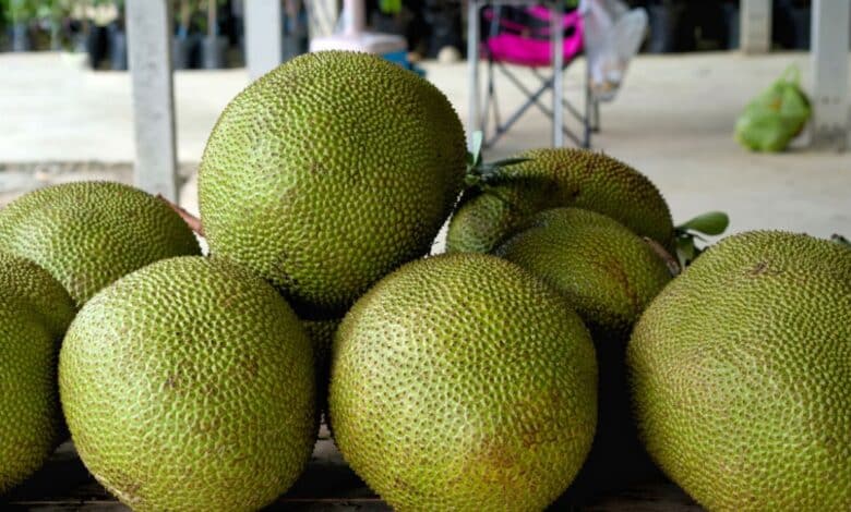 Este es el Fruto tropical que mantiene huesos y dientes fuertes