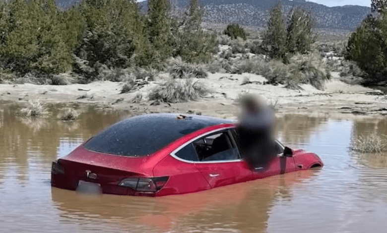 ¿Qué sucede con los autos eléctricos durante las inundaciones? Aquí te decimos