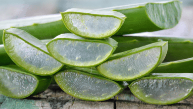 Propiedades y beneficios del aloe vera para la salud