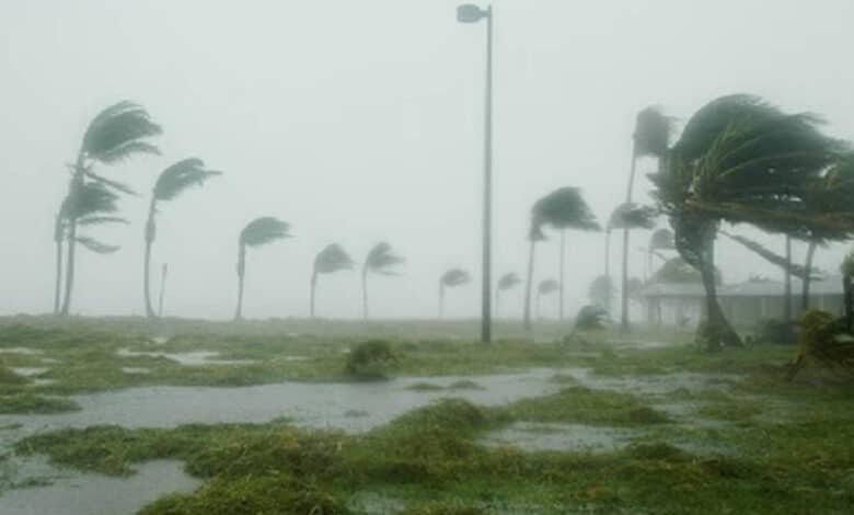 Efectos del fenómeno de La Niña y El Niño en México