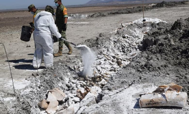 Avanza limpieza de peces muertos en la laguna de Chihuahua