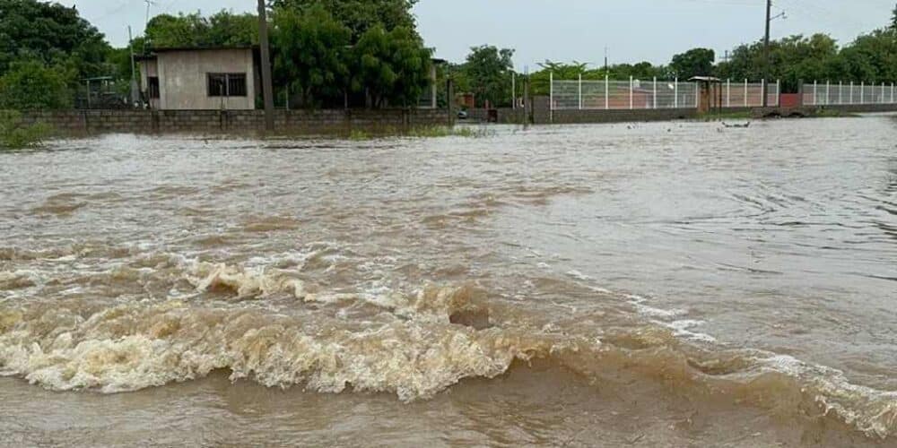 Calor y ondas tropicales; pronóstico del clima para los estados