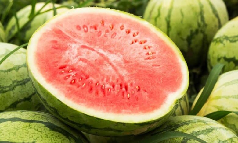 sandia