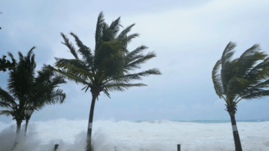 Alrededor del 95% de Granada está sin electricidad tras el paso del huracán Beryl