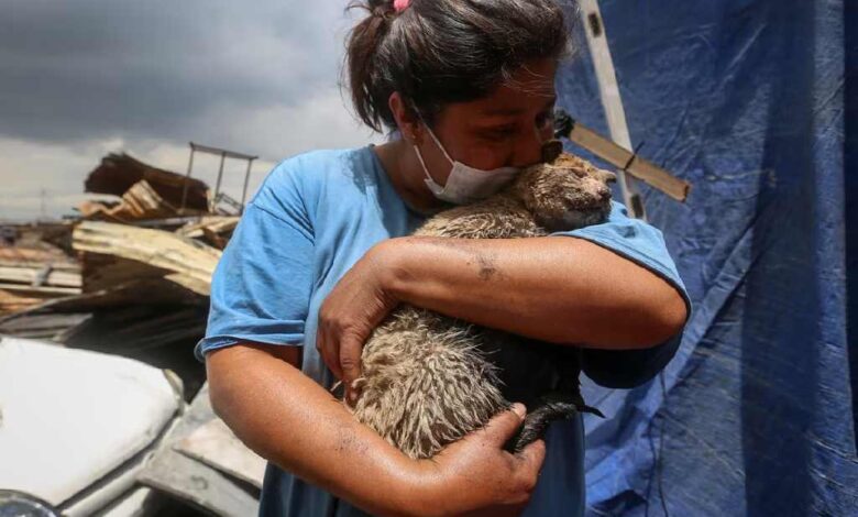 Encuentra a su gato "Mazapán" tras incendio en Nezahualcóyotl