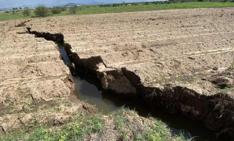 Detectan 15 zonas de grietas en hectáreas de cultivo de Atenco