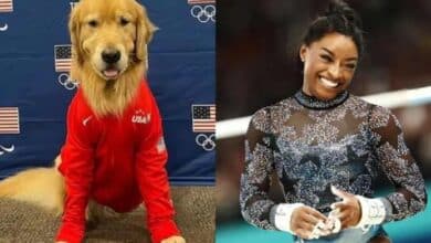 Beacon es el perro del equipo de gimnasia de Estados Unidos que ayuda a Simone Biles