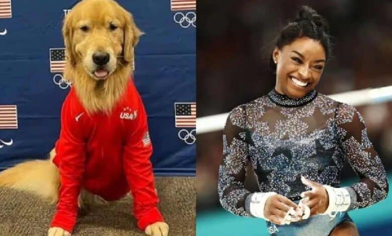 Beacon es el perro del equipo de gimnasia de Estados Unidos que ayuda a Simone Biles