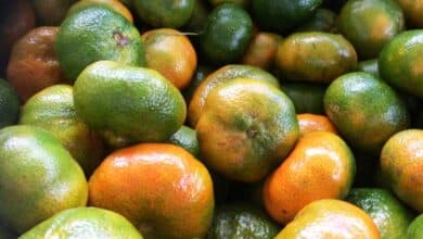 La mandarina saboriza postres y evita infecciones por virus y hongos