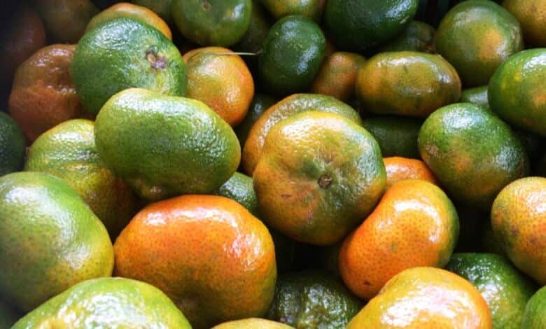 La mandarina saboriza postres y evita infecciones por virus y hongos