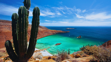 Descubre los imperdibles destinos turísticos de Baja California Sur