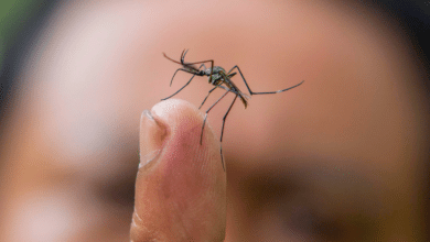 México registra 118 decesos por dengue en lo que va del año