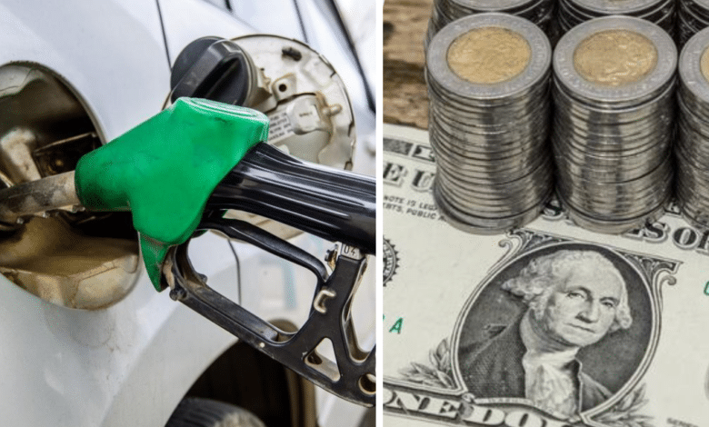 Precio del dólar y gasolina en México: Viernes 23 de agosto