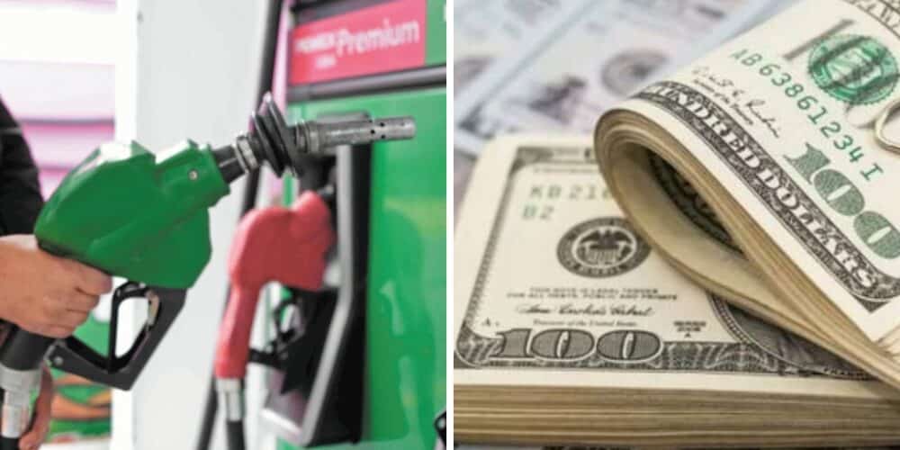 Precio del dólar y gasolina en México: Jueves 29 de agosto