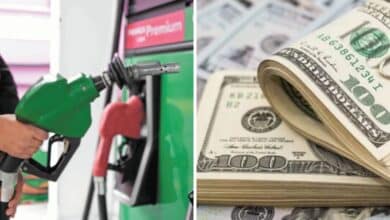 Precio del dólar y gasolina en México: Jueves 29 de agosto