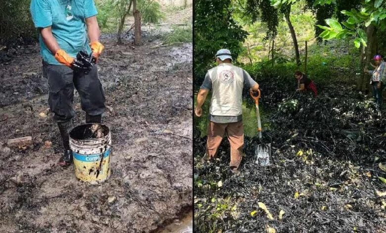 Congreso Indígena exige castigo por derrame de crudo en Veracruz