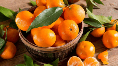 Los beneficios nutricionales de la mandarina