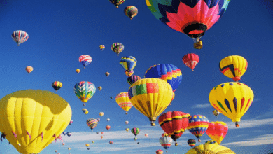 Más de 200 globos aerostáticos en el Festival Internacional del Globo en León, Guanajuato