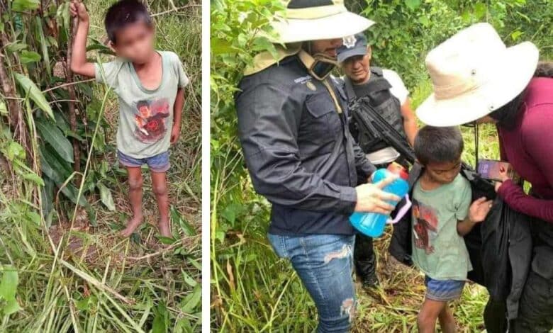 Video. Localizan a niño perdido desde el 5 de octubre en la selva de Campeche