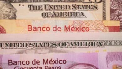 Precio del dólar abre a la baja en 19.66 pesos al mayoreo