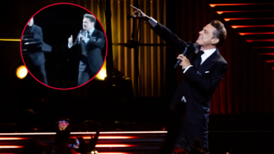 Molesto y en pleno show, Luis Miguel regaña a encargados de audio