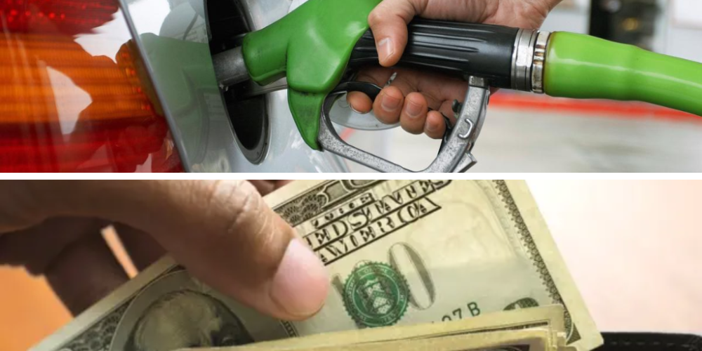 Tipo de Cambio: Precio del dólar y gasolina hoy, lunes 25 de noviembre en México